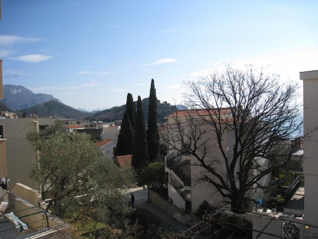 Apartment Stana Petrovac Buitenkant foto