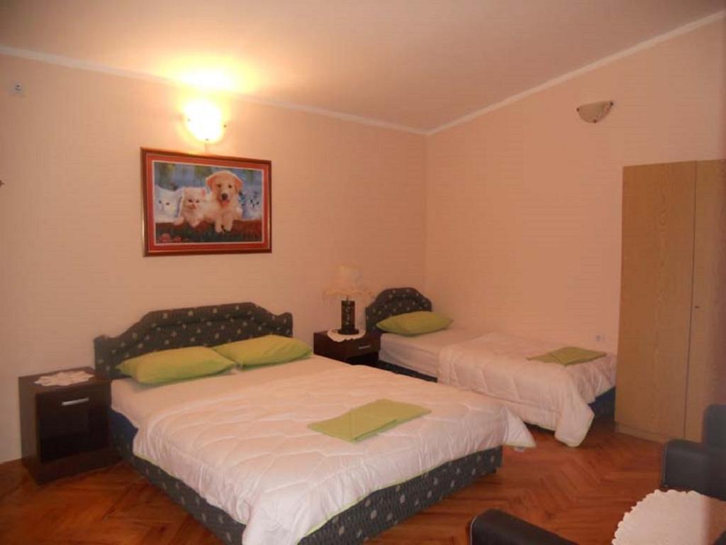 Apartment Stana Petrovac Buitenkant foto