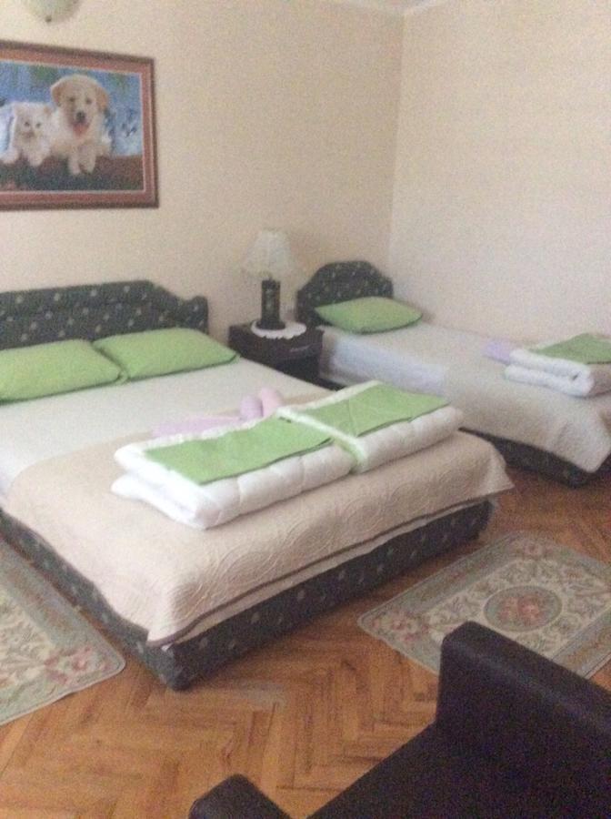 Apartment Stana Petrovac Buitenkant foto